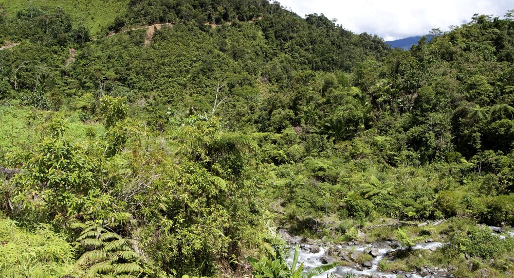 Дешевые авиабилеты в Экваториальную Гвинею